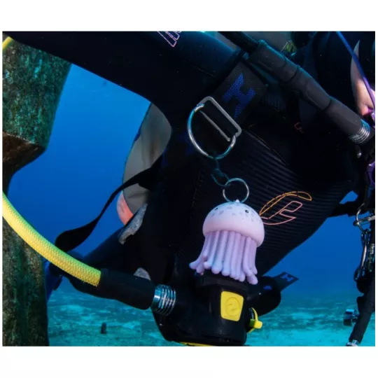 Porte octopus Meduse Best diver 